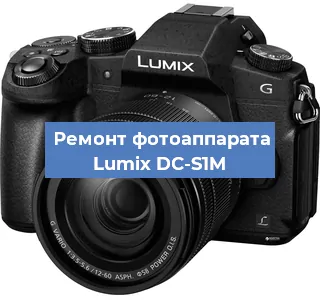 Прошивка фотоаппарата Lumix DC-S1M в Ижевске